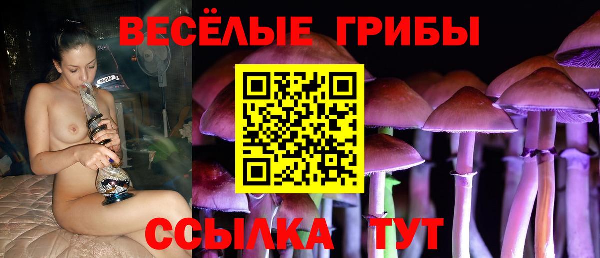 Галлюциногенные грибы MAGIC MUSHROOMS  Вход с VPN  Галлюциногенные грибы Magic Shrooms  Качканар 
