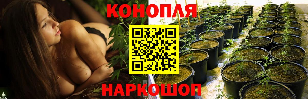 Конопля план Качканар